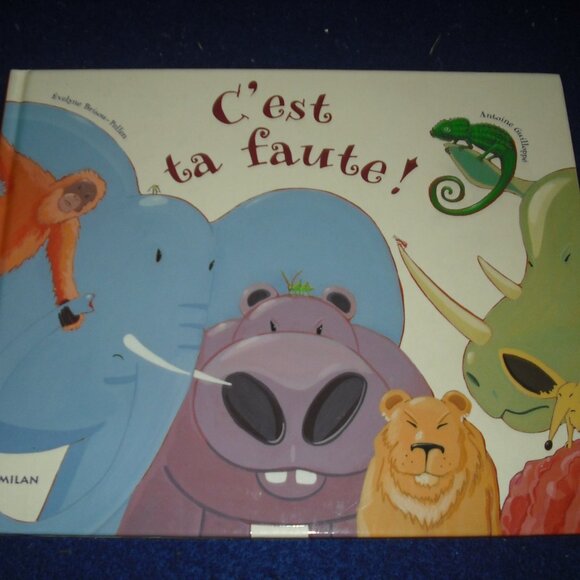 C'est ta faute! by Evelyne Brisou Pellen 2002 used French Hardcover - Picture 1 of 1